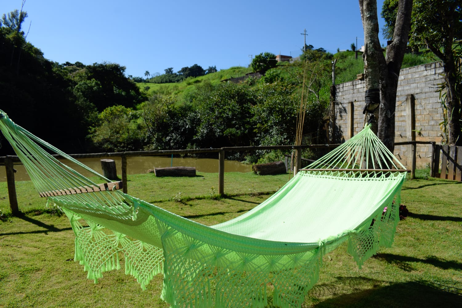 Rede na área verde