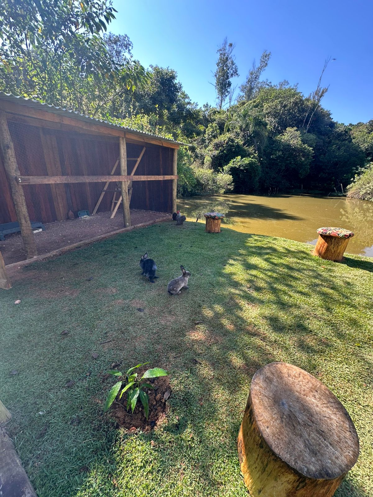Mini fazenda
